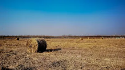 카지노 럭키 팬츠 빙고 모바일 앱